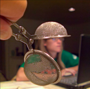 Lytro : procrastination et révolution de la photographie ?