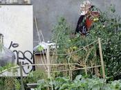sans-abri cultive potager sous viaduc