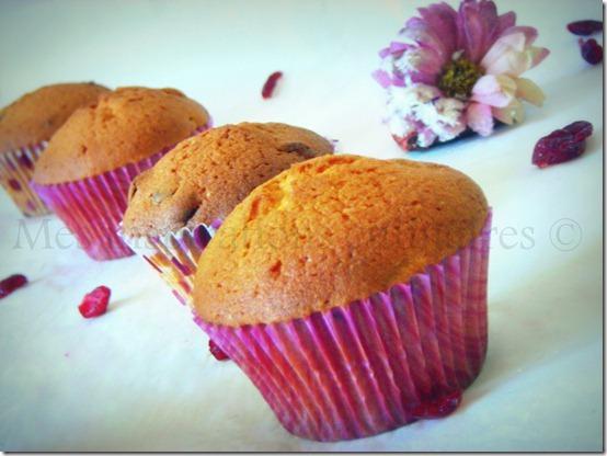 muffins_aux_cranberries3