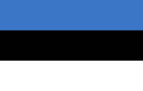 Des cours d’informatique obligatoires en Estonie