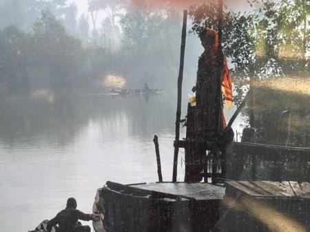 Au jardin des plantes de Paris  une exposition photos