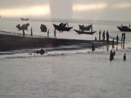 Au jardin des plantes de Paris  une exposition photos