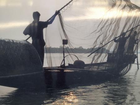 Au jardin des plantes de Paris  une exposition photos