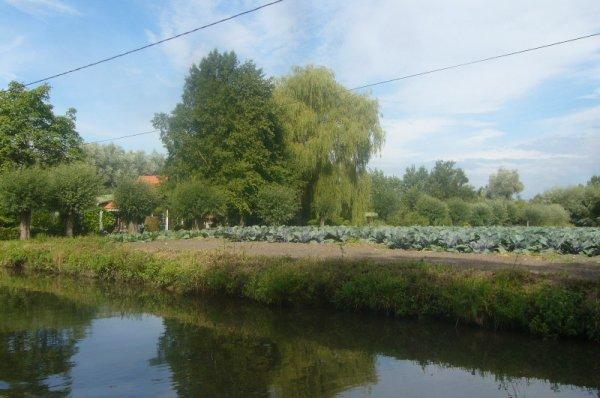 Promenade en bateau dans le marais audomarois (partie 1)