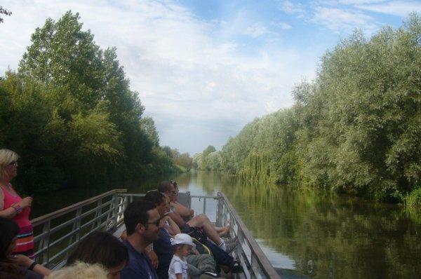 Promenade en bateau dans le marais audomarois (partie 1)