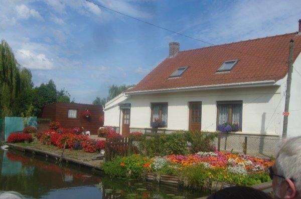 Promenade en bateau dans le marais audomarois (partie 2)