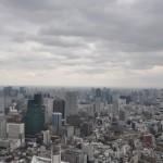 Voyage Japon - Roppongi Hills / Expo One Piece