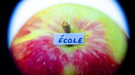 Macro Folie #8 anteketborka.blogspot.com, pomme6