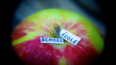 Macro Folie #8 anteketborka.blogspot.com, pomme7