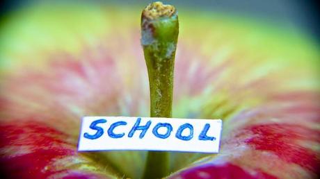 Macro Folie #8 DSC09100