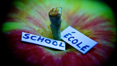 Macro Folie #8 DSC09071