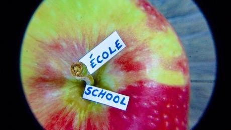 Macro Folie #8 anteketborka.blogspot.com, pomme33