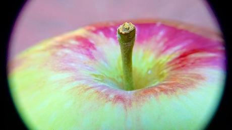 Macro Folie #8 anteketborka.blogspot.com, pomme5