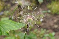 Macro Folie #8 Macro Folie #8