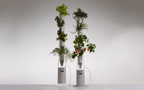 Faire pousser des légumes dans son appartement avec le système des Windowfarms