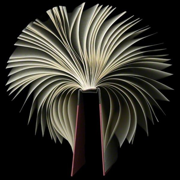 Les courbes du livre