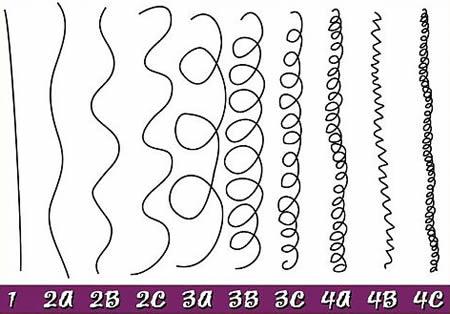 Type de cheveux et classification d'Andre Walker
