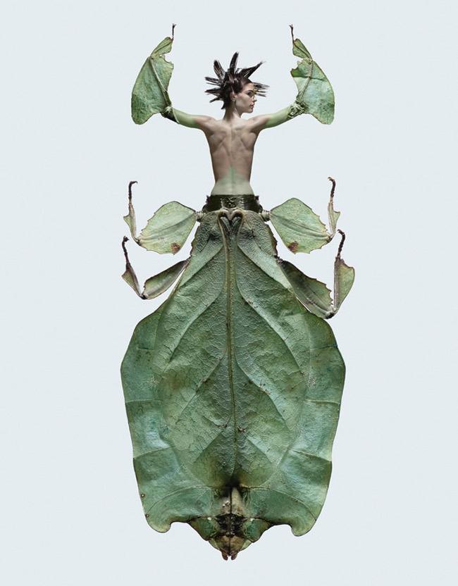 Les femmes insectes de Laurent Seroussi