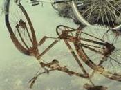 Armstrong sonne l’olifant... (1/3)