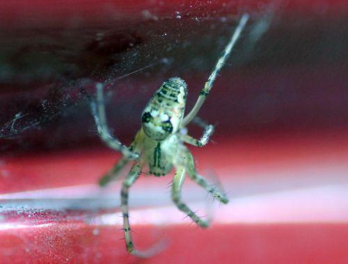 e romilly 5 sept 2012 099.jpg