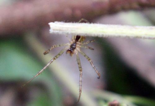 6 romilly 5 sept 2012 040.jpg