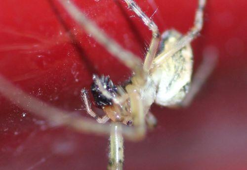 b romilly 5 sept 2012 083.jpg