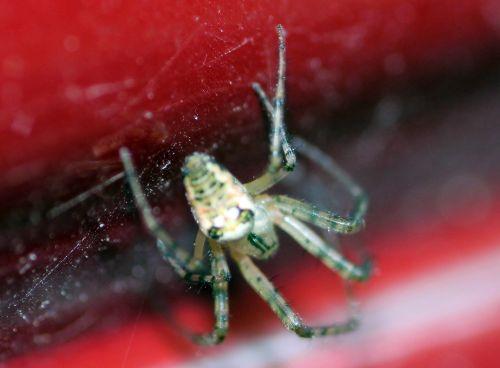 d romilly 5 sept 2012 087.jpg