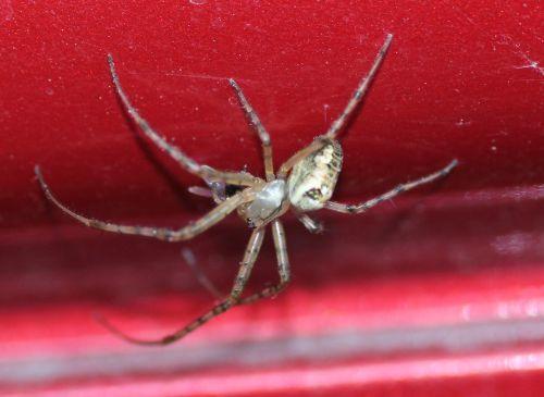 a romilly 5 sept 2012 073.jpg