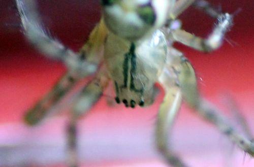 g romilly 5 sept 2012 098.jpg