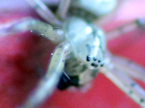 h rec romilly 5 sept 2012 091.jpg