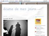Ecume de mes jours