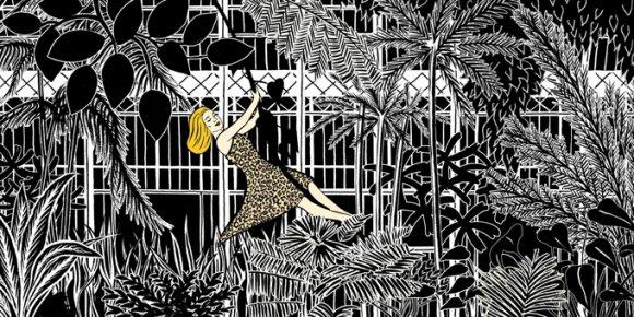 les Jolies illustrations