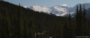 Les différents paysages de Breaking Dawn part 2