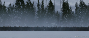 Les différents paysages de Breaking Dawn part 2