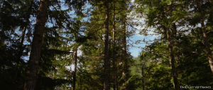 Les différents paysages de Breaking Dawn part 2