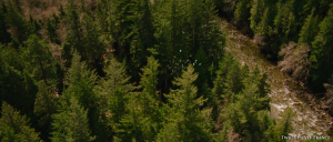 Les différents paysages de Breaking Dawn part 2