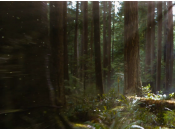 différents paysages Breaking Dawn part