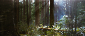 Les différents paysages de Breaking Dawn part 2