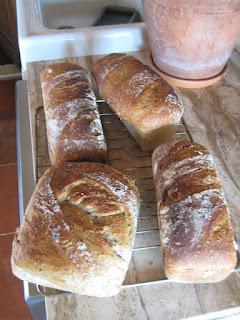 Des nouvelles d'ici bas, fin d'été