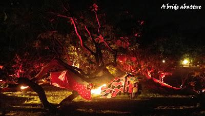 Soirée d'ouverture Lumières de Paysages