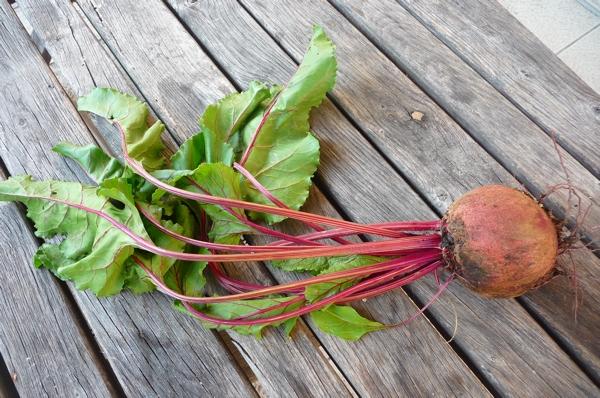 Tout est bon dans la betterave