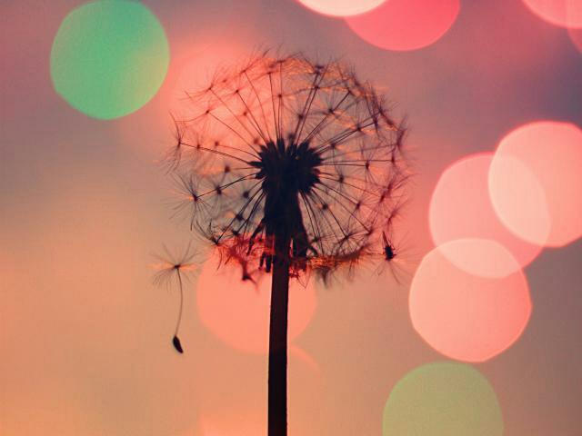 Pépin hors utéro...