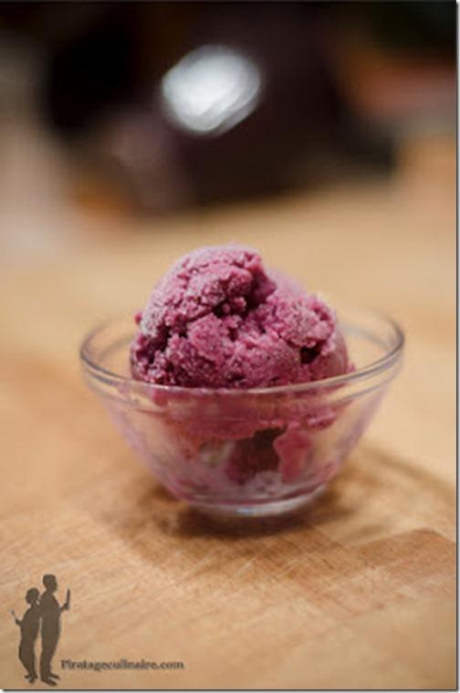 frozen_yogurt_aux_myrtilles