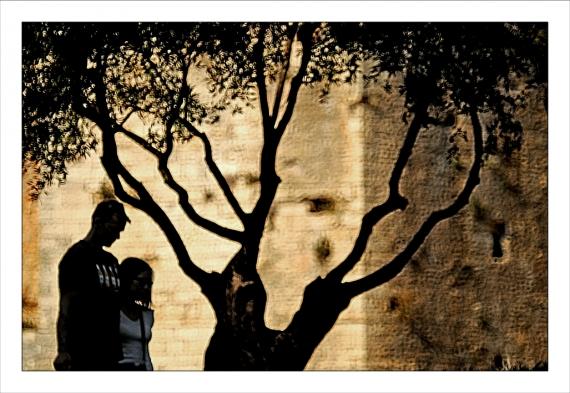 Jardins de la Fontaine, parcs, jardins publics, arbres, fleurs, marroniers, statues