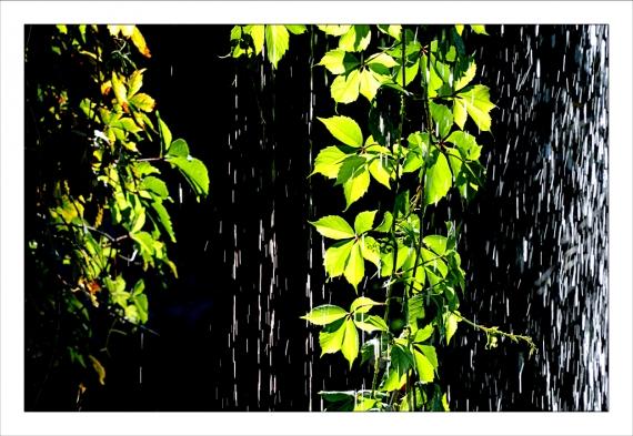 Jardins de la Fontaine, parcs, jardins publics, arbres, fleurs, marroniers, statues
