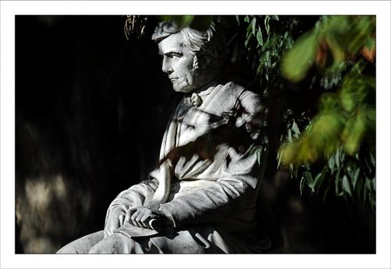 Jardins de la Fontaine, parcs, jardins publics, arbres, fleurs, marroniers, statues