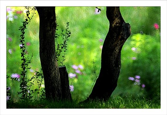 Jardins de la Fontaine, parcs, jardins publics, arbres, fleurs, marroniers, statues