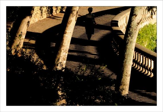 Jardins de la Fontaine, parcs, jardins publics, arbres, fleurs, marroniers, statues