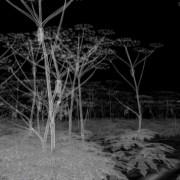 Journées du Patrimoine Les Rendez-vous du paysage : Andrea Urlberger, Les Rendez-vous du paysage : Andrea Urlberger, « Paysage et nouvelles technologies » au Mudée Calbet Grisolles