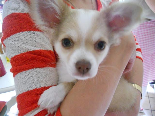 Plaid granny pour Ramon